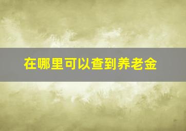 在哪里可以查到养老金