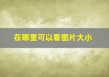 在哪里可以看图片大小