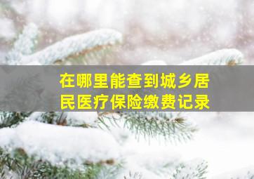 在哪里能查到城乡居民医疗保险缴费记录