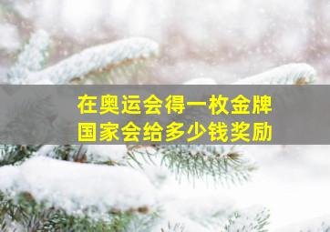 在奥运会得一枚金牌国家会给多少钱奖励