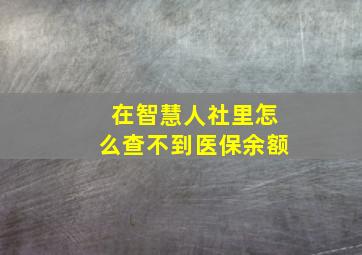 在智慧人社里怎么查不到医保余额