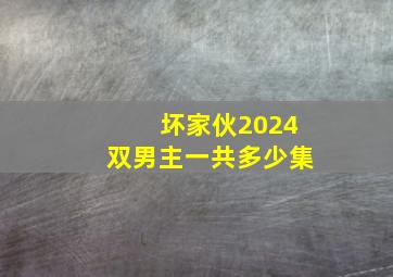 坏家伙2024双男主一共多少集