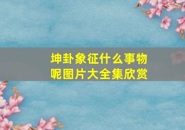 坤卦象征什么事物呢图片大全集欣赏