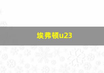 埃弗顿u23