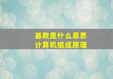 基数是什么意思计算机组成原理