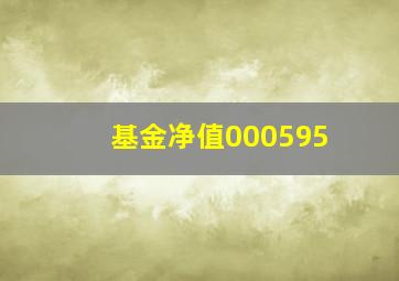 基金净值000595