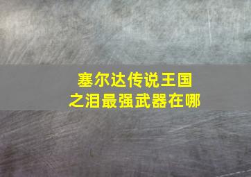 塞尔达传说王国之泪最强武器在哪