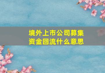 境外上市公司募集资金回流什么意思