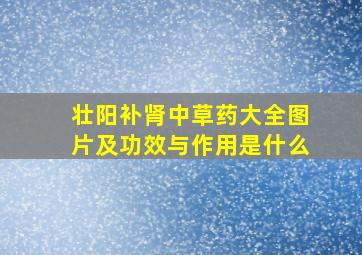 壮阳补肾中草药大全图片及功效与作用是什么