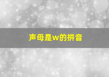 声母是w的拼音