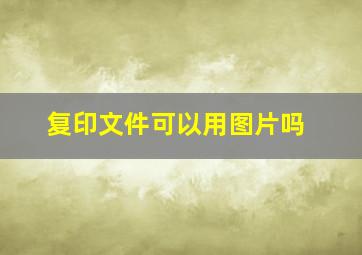 复印文件可以用图片吗