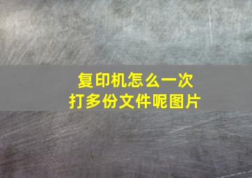 复印机怎么一次打多份文件呢图片