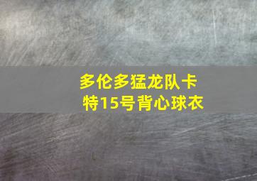 多伦多猛龙队卡特15号背心球衣