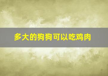 多大的狗狗可以吃鸡肉