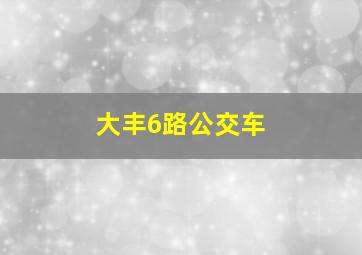 大丰6路公交车