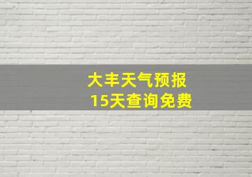 大丰天气预报15天查询免费