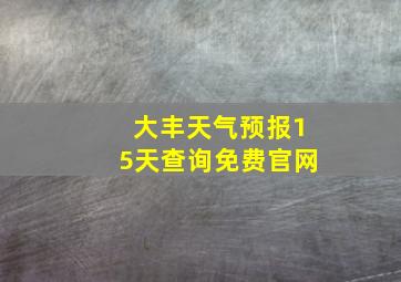 大丰天气预报15天查询免费官网