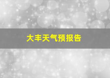 大丰天气预报告