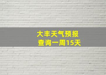 大丰天气预报查询一周15天