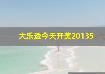 大乐透今天开奖20135