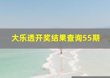 大乐透开奖结果查询55期