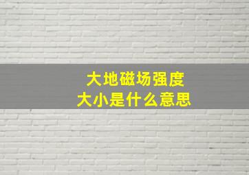 大地磁场强度大小是什么意思