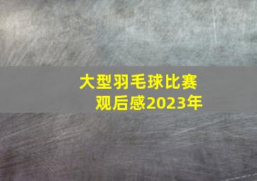 大型羽毛球比赛观后感2023年