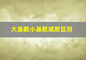 大基数小基数减肥区别