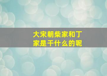 大宋朝柴家和丁家是干什么的呢