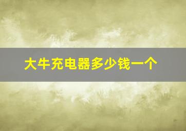 大牛充电器多少钱一个