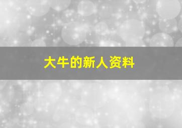 大牛的新人资料