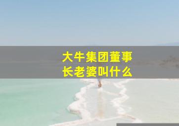 大牛集团董事长老婆叫什么