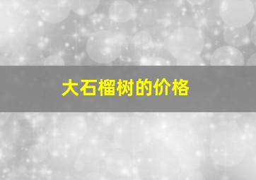 大石榴树的价格