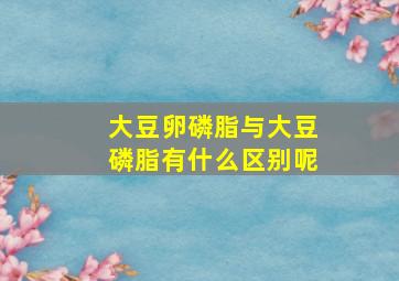 大豆卵磷脂与大豆磷脂有什么区别呢