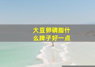 大豆卵磷脂什么牌子好一点