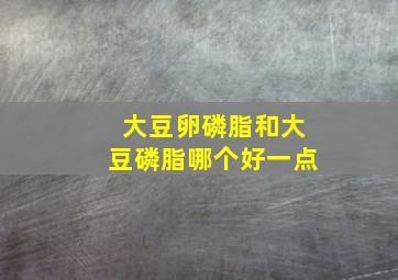 大豆卵磷脂和大豆磷脂哪个好一点