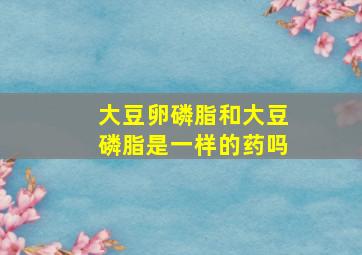 大豆卵磷脂和大豆磷脂是一样的药吗