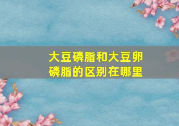 大豆磷脂和大豆卵磷脂的区别在哪里