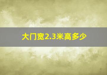 大门宽2.3米高多少