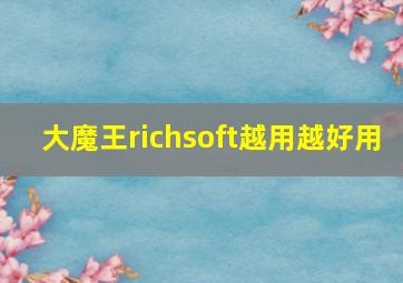 大魔王richsoft越用越好用