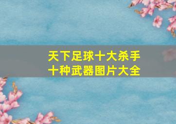 天下足球十大杀手十种武器图片大全