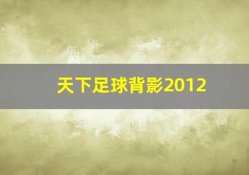 天下足球背影2012