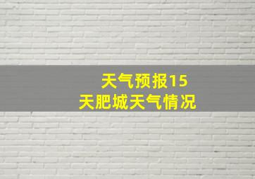 天气预报15天肥城天气情况