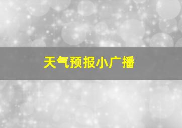 天气预报小广播