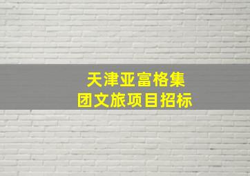 天津亚富格集团文旅项目招标