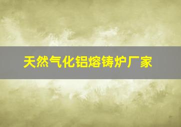 天然气化铝熔铸炉厂家