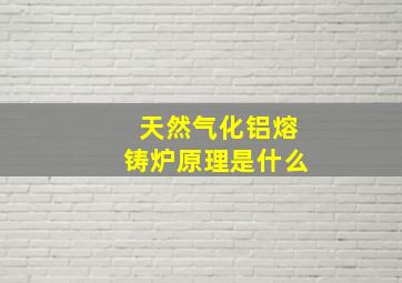 天然气化铝熔铸炉原理是什么