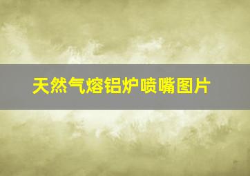 天然气熔铝炉喷嘴图片