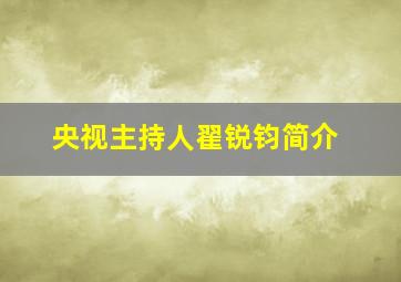 央视主持人翟锐钧简介