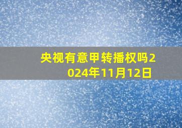 央视有意甲转播权吗2024年11月12日